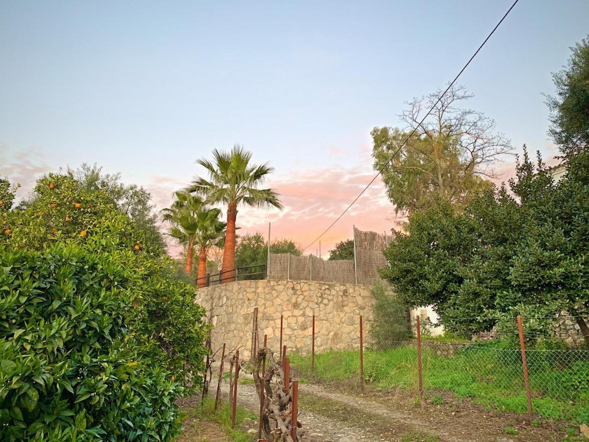 Vivelorural Casa Y Piscina En Zahara De La Sierra Villa Exteriör bild